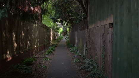 Spring-walk-through-the-narrow-path-of-Dairy-Walk-in-Wimbledon,-London-UK,-an-urban-paradise-filled-with-wild-flowers-around