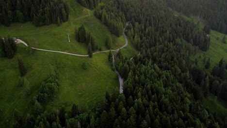 aerial view of forest and asphalt road in high mountains, alps in austria