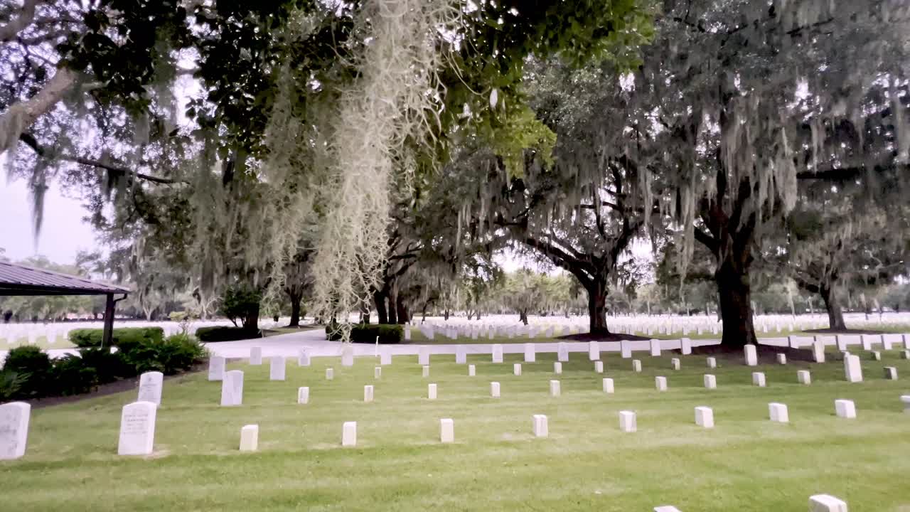 shot of gravestones at national cemetery shot through live oaks and spanish moss