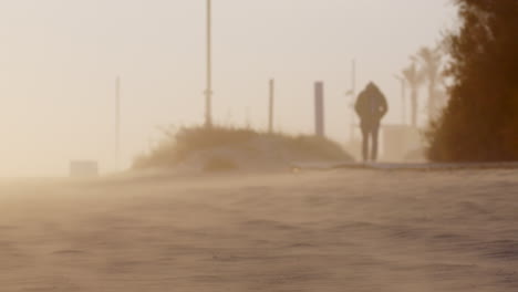 man walking on a beach path during a sandstorm