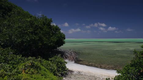 Die-Rosa-Und-Grünen-Salzpfannen-Und-Seen-Von-Bonaire