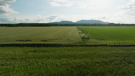 An-irrigation-system-on-a-vast-green-field-in-dardanelle,-arkansas,-aerial-view