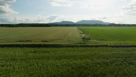 un sistema de riego en un vasto campo verde en dardanelles, arkansas, vista aérea