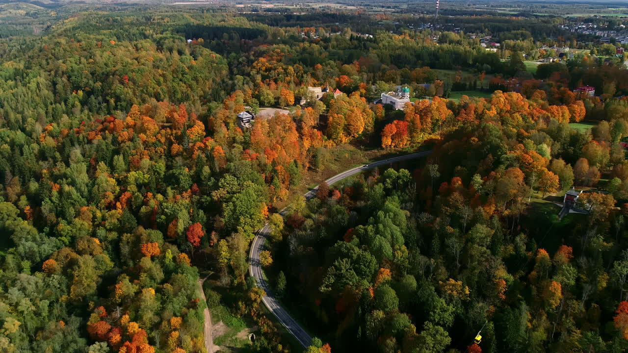 vista aérea de un bosque exuberante en hermosos colores otoñales con una carretera