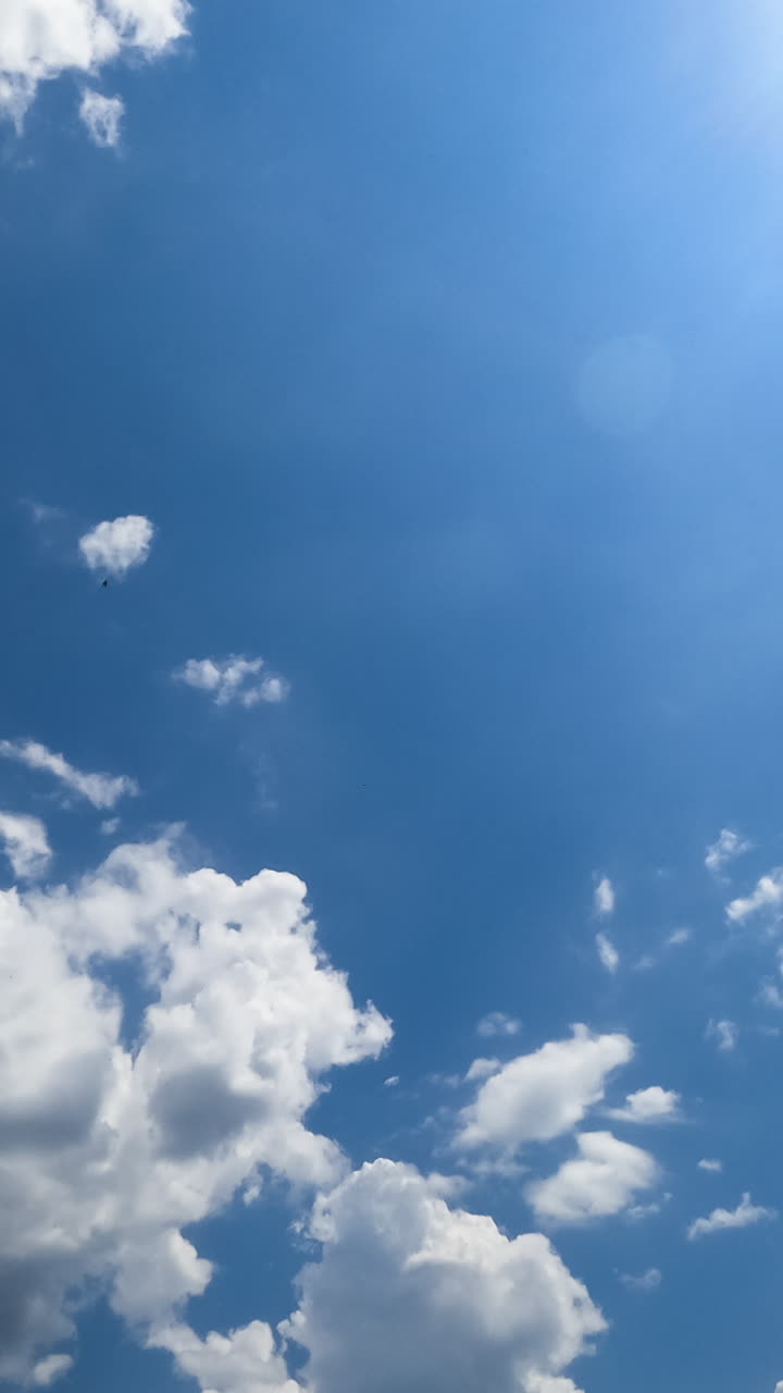 Lovely fluffy clouds in the rays of bright sky. Shape-changing cloudscape on beautiful sunny day from low angle view. Timelapse. Vertical video