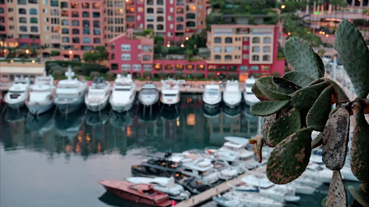 View of boats docked in the Port de Fontvieille with the skyline of Monaco on the background in the evening
