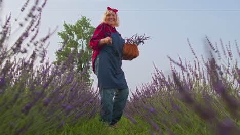 Ältere-Großmutter-Bäuerin-Sammelt-Lavendelblüten-Auf-Dem-Feld,-Tanzt,-Feiert-Erfolg