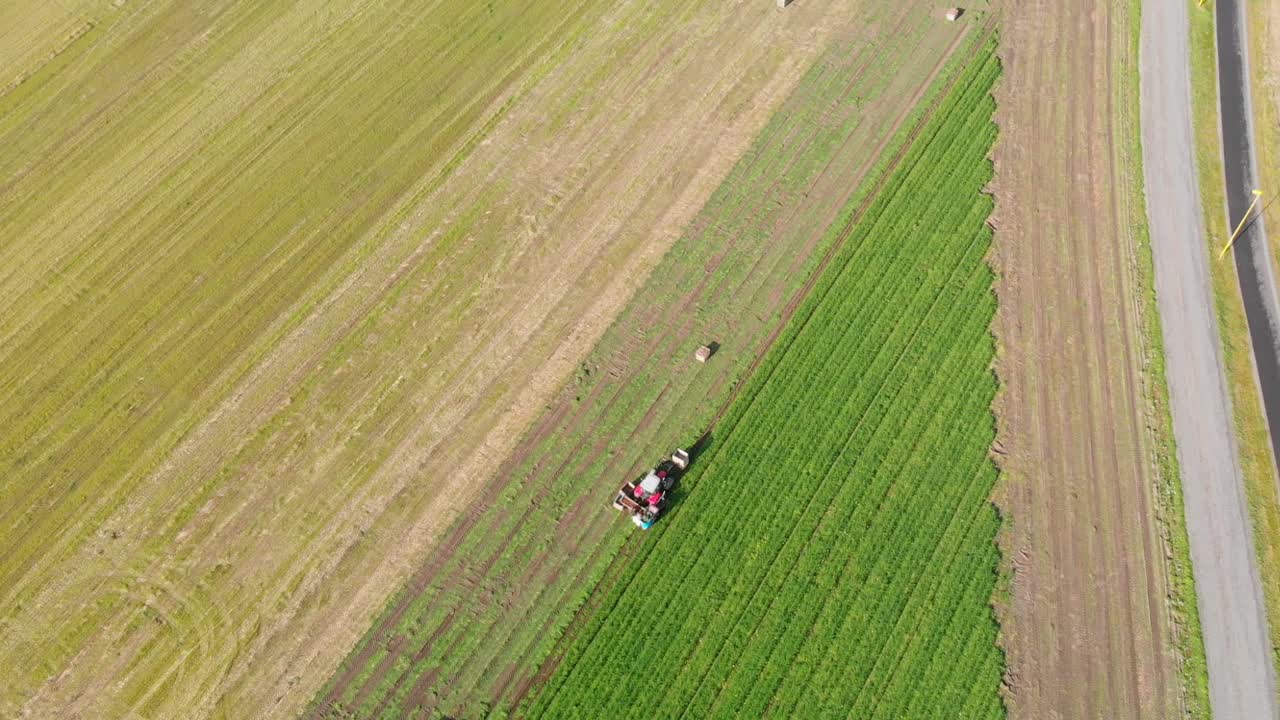프로스타에서 농업의 공중