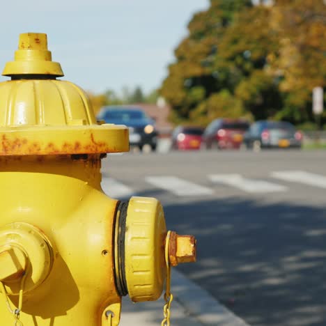 fire hydrant in a small american town 1