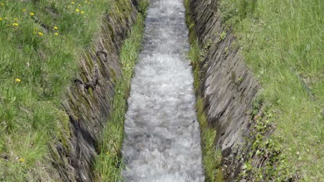 The-controlled-flow-of-a-stream-surrounded-by-grass-and-wild-flowers-in-modern-times