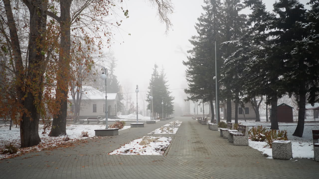 눈으로 인 조명 기둥, 나무, 주거 건물들이 조용하고 포장된 길을 가로지르는 안개가 가득한 분위기, 쓰러진 잎과 조용한 음색은 평온하고 겨울의 이웃을 만니다.