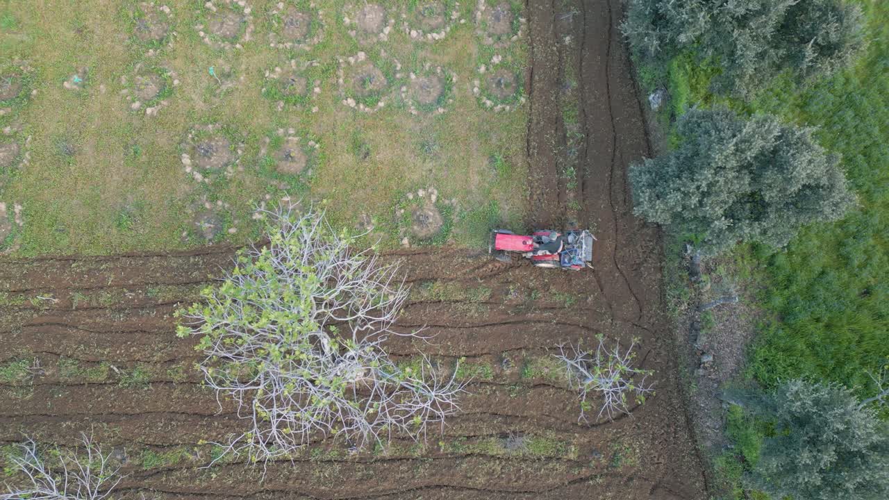 Drone footage of a small tractor plowing a fruit tree field. The soil shows a striking color contrast, and the tractor maneuvers as it works, dividing the field into two long zones.