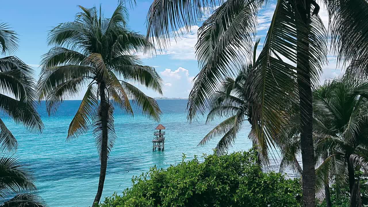 나무 와 바다 를 볼 수 있는 열대 해변
