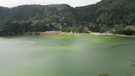 static view of lush green shoreline in front of a lake. daylight