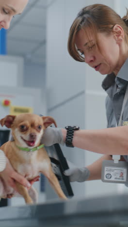 airport dog inspection
