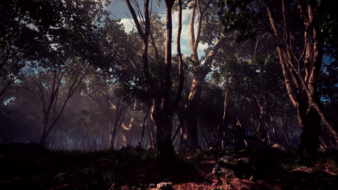 profunda jungla tropical en la oscuridad