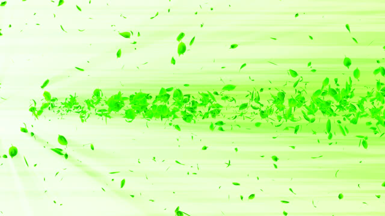 vórtice de hojas verdes. espiral partícula brillante de hojas estacionales. hoja danzante. colorida animación de bucle de túnel de la naturaleza.