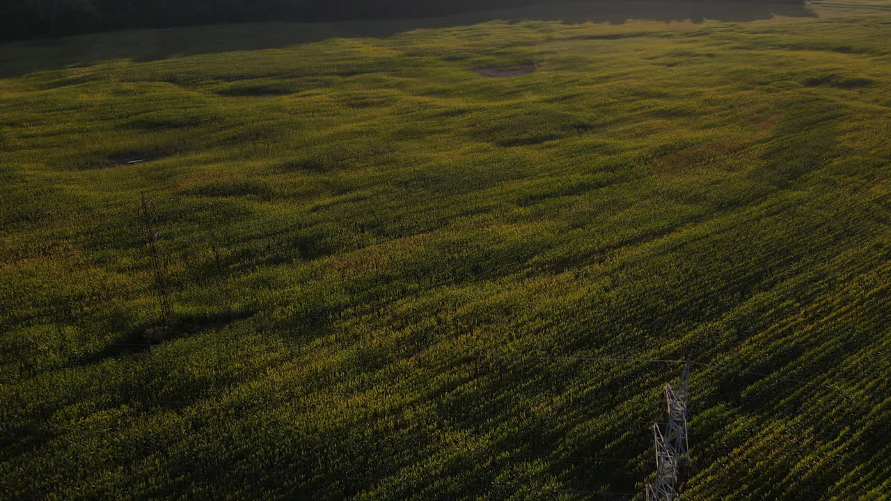 화창한 날 전력선을 이끄는 들판 위를 날다