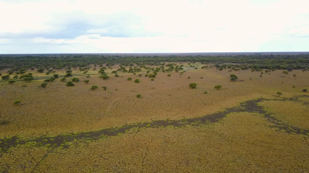 건기 동안 건조한 사바나의 공중 촬영