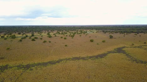 toma aérea de una sabana seca durante la estación seca