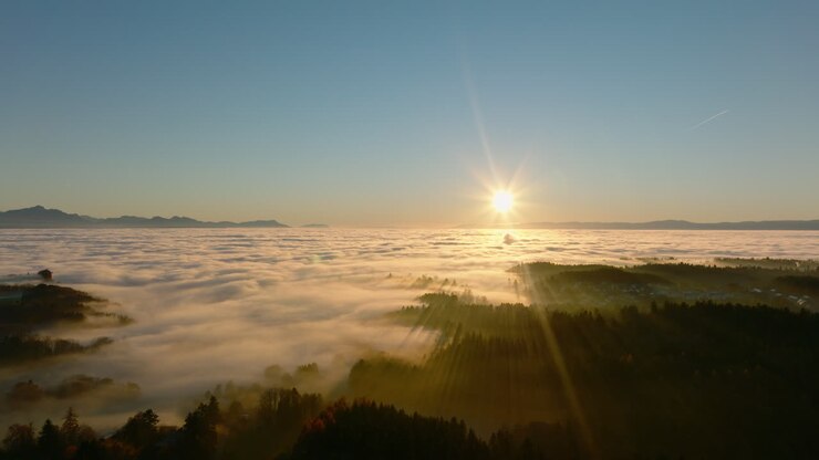 Las arboledas cerca del pueblo de Savigny en la niebla invernal, cubriendo toda la región del lago de Ginebra, Vaud, Suiza durante el atardecer