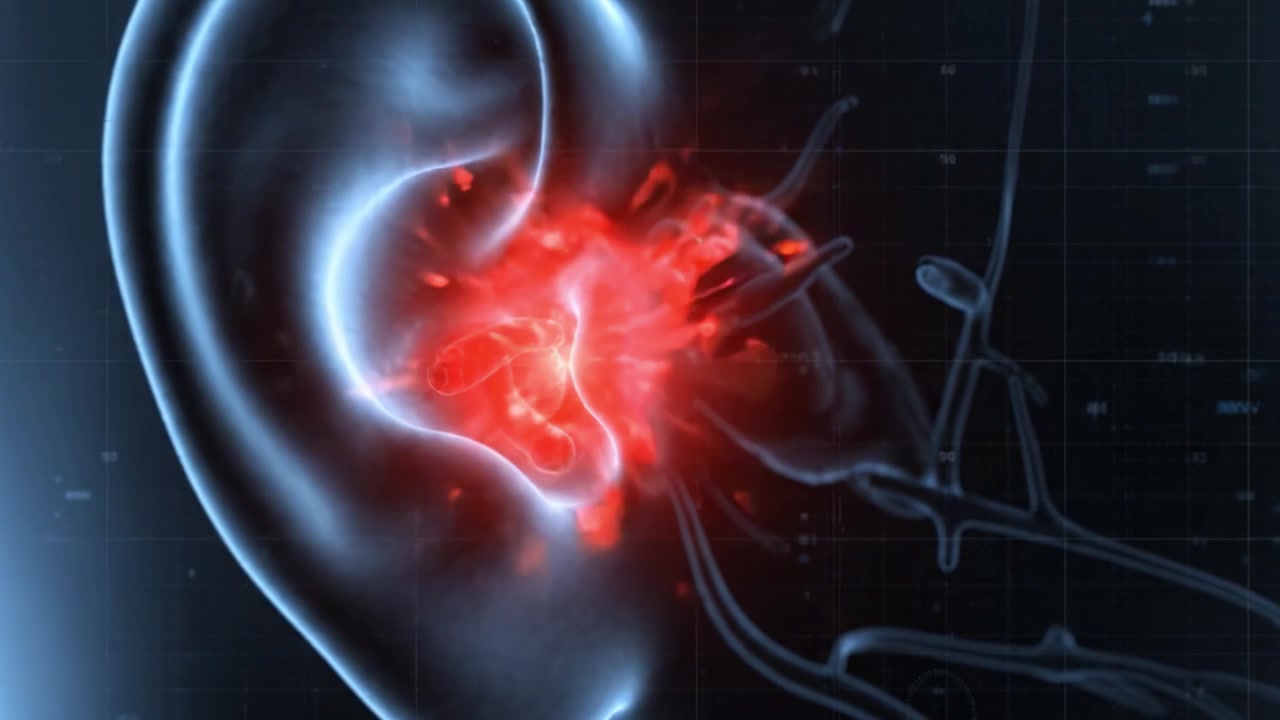 Detailed Visualization of the Human Ear Structure: Anatomical Insights into Ear Anatomy, Functionality, and Health with Focus on Inner Ear and Auditory Pathways