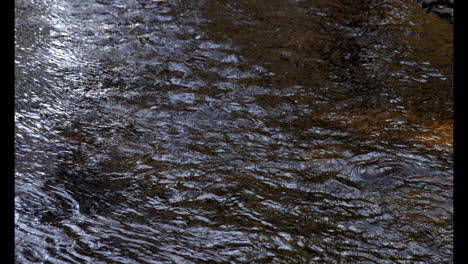 Close-up-of-a-stream