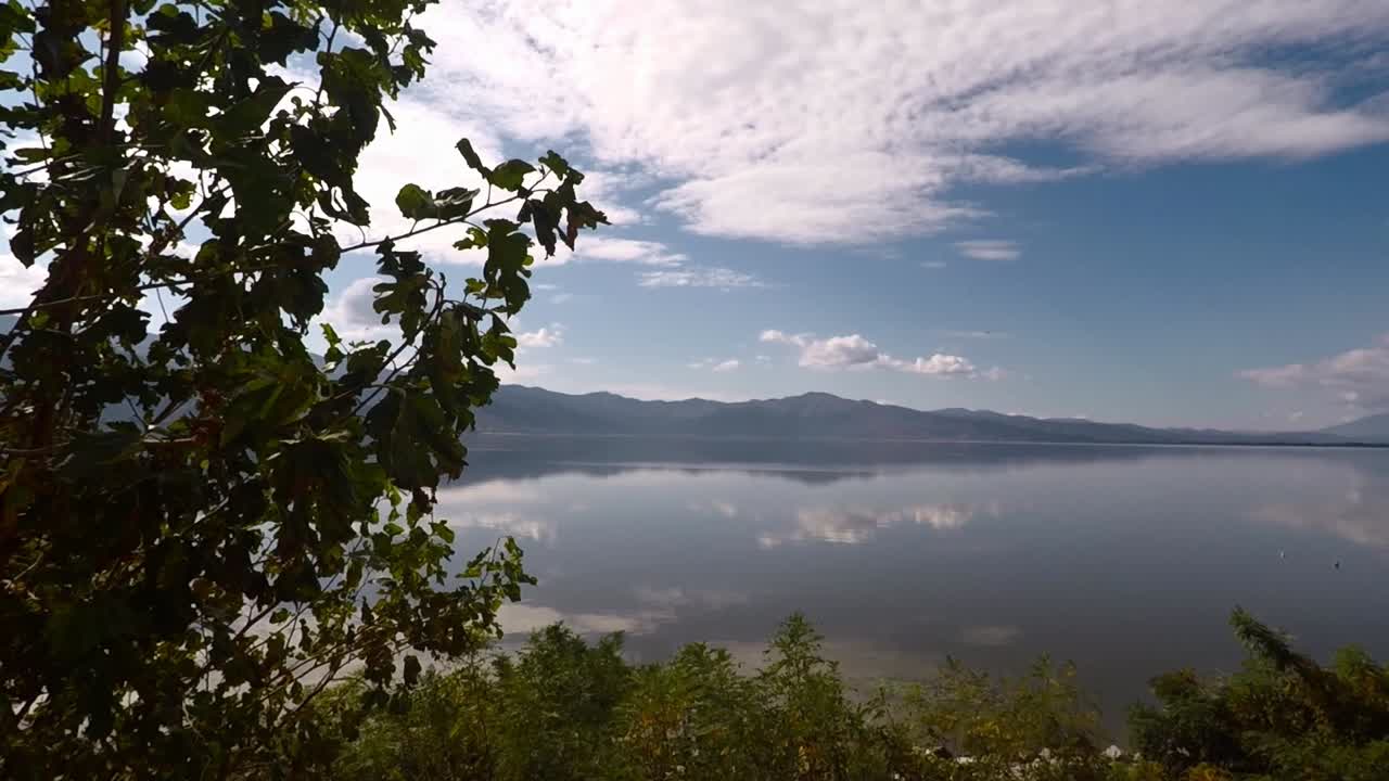 vista del lago kerkini con plantas en primer plano