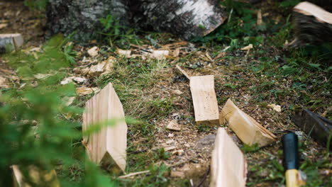 slow pan of pieces of firewood being cut and falling down on ground