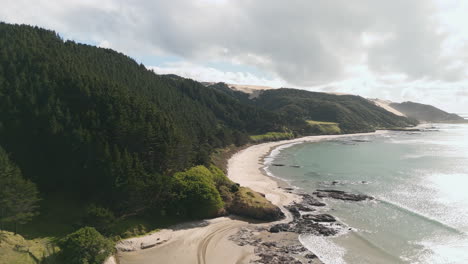 coastal scenery with forest and sand dunes