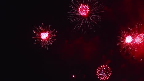 fuegos artificiales reales que explotan el relleno del marco de celebración y el bucle sin problemas desenfoque abstracto luces bokeh en el cielo nocturno con el festival de espectáculo de fuegos artificiales que brillan intensamente