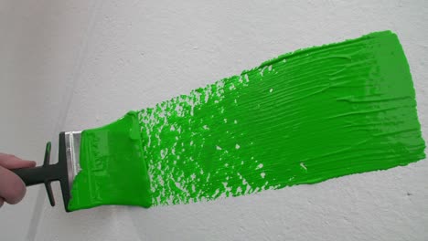 movimiento lento de una mano pintando una pared blanca de color verde brillante con un pincel de pintura