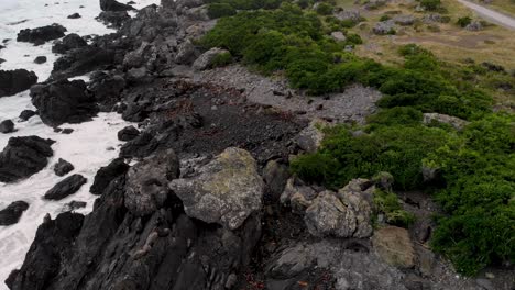 Beautiful-aerial-shot-of-New-Zealand-wildlife