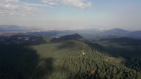 Espesos-Bosques-De-Hoja-Perenne-En-El-Centro-De-México,-Drones-Aéreos-Lentos-Sobrevuelan