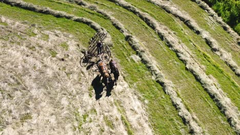 amish farm boy on horse drawn tractor bailing hay