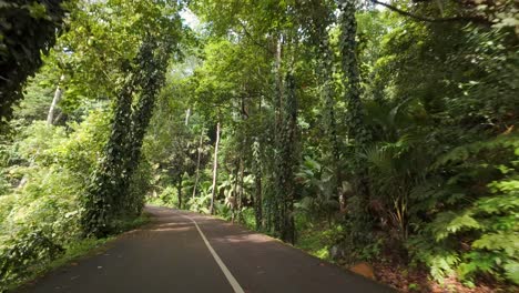 conduciendo a través de la carretera del parque nacional, denso bosque, vegetación exuberante en la isla de mahe, seychelles 60 fps 2