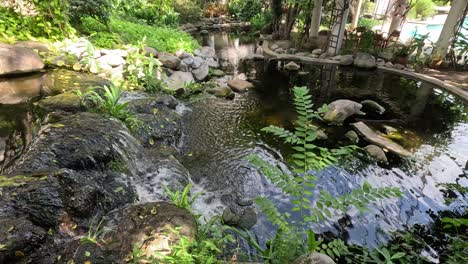 un tranquilo recurso de agua en un entorno de jardín exuberante