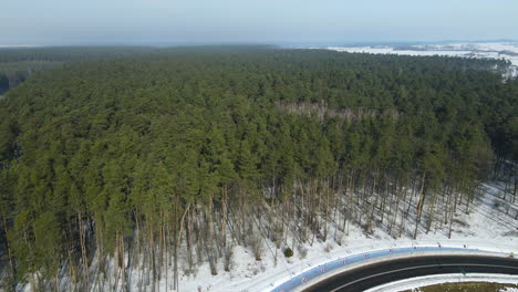 endless evergreen coniferous pine forest in the winter landscape