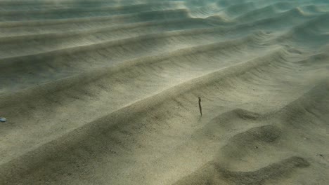 a close up of sand dunes at the bottom of the sea