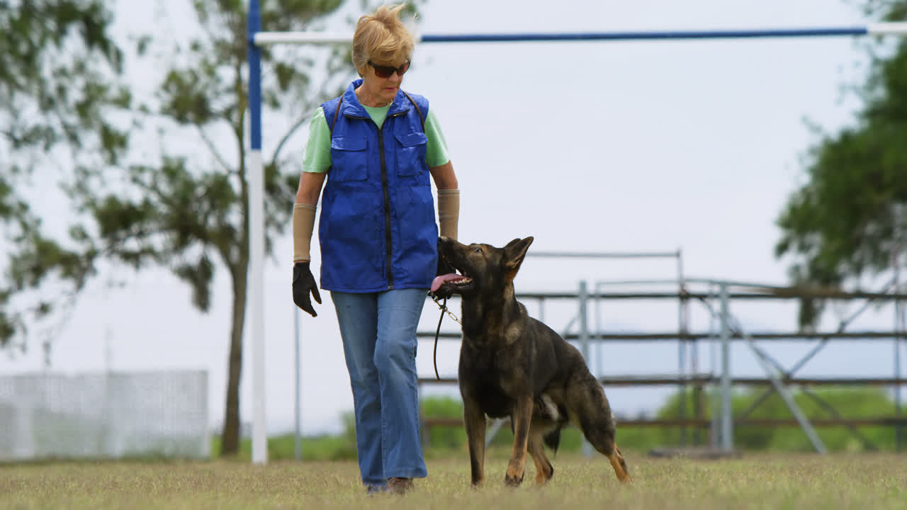 목자 개와 그의 주인이 에서 4k