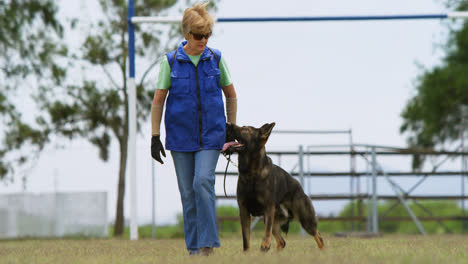 shepherd dog with his owner in the field 4k