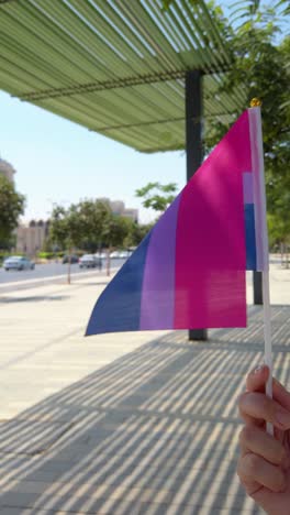 colors of the bisexual community in motion