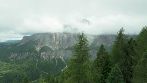 aerial cinematic reveal: drone flies near spruce trees, unveiling val gardena pass valley in south tyrol, italy