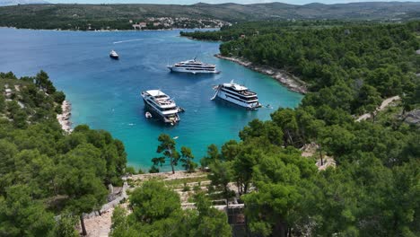 flyover lush tree canopy at hvar island, croatia reveal turquoise water bay with luxury cruise ships. drone aerial dolly in