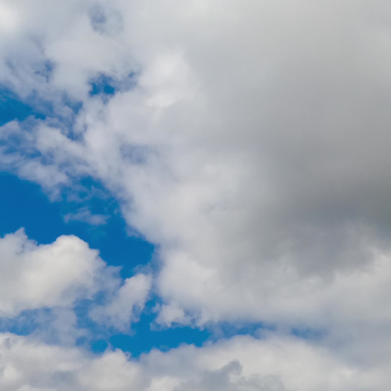White cumulus cloudscape accumulating in the blue skies. Beautiful summer sky from low angle view. Timelapse