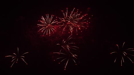 fuegos artificiales reales en el cielo de fondo negro profundo, hermosos fuegos artificials coloridos exhibición brillante por la noche, en tiempo real 4k imágenes.