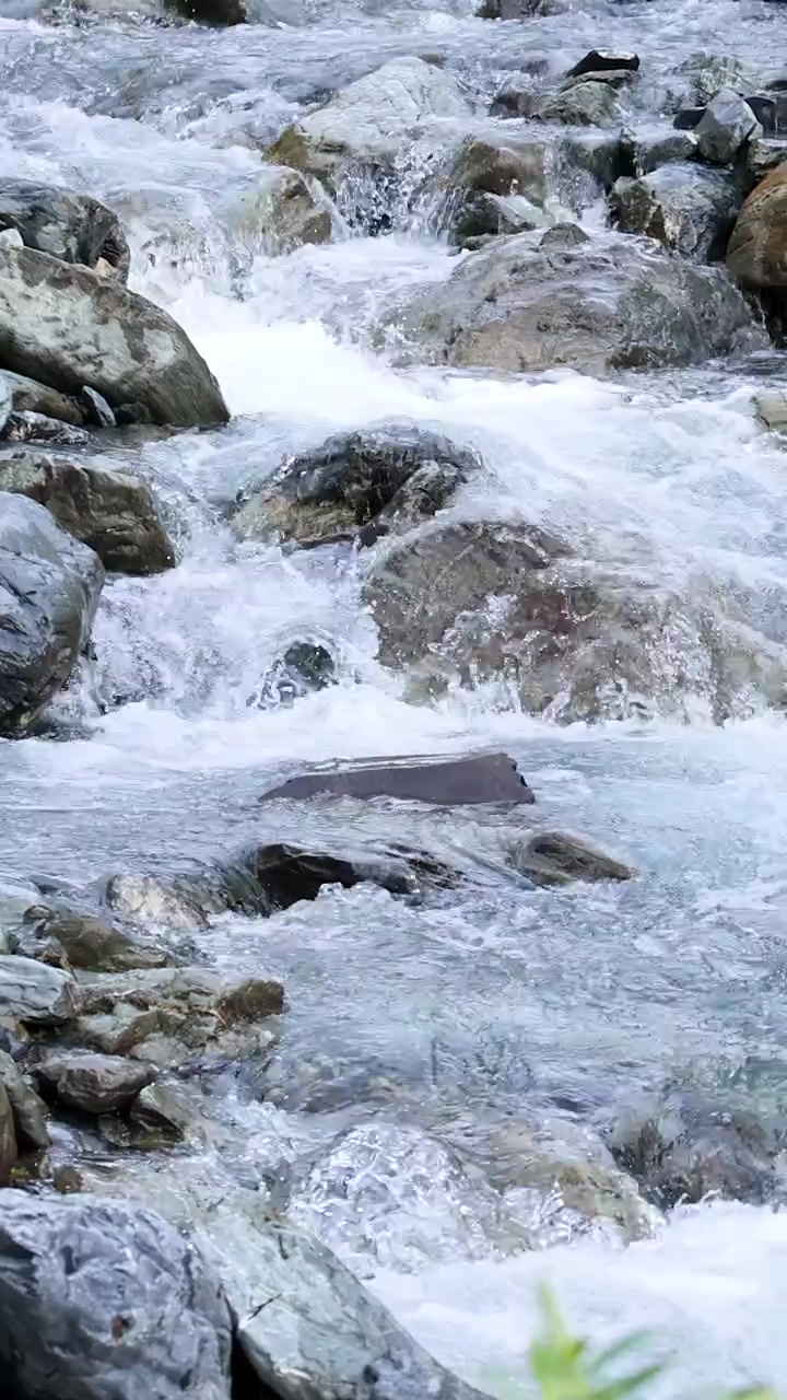 Un ruscello di montagna impetuoso e cristallino scorre su grandi rocce e massi in un ambiente naturale all'aperto, ripreso con telecamera stabile e luce diurna soffusa.