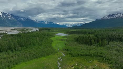 Fresh-Greenery-Landscape-With-River-And-Snowcapped-Mountains-In-The-Background