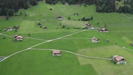 the drone camera is moving to the back side of different types of trees planted