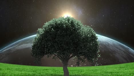 Animation of tree over globe and sky with sun and stars